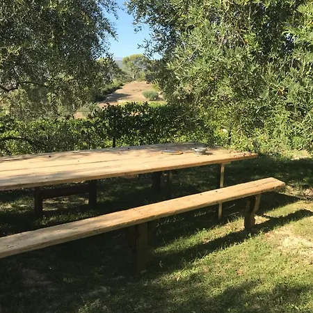 Проживание в семье Du Moulin Сен-Сир-сюр-Мер