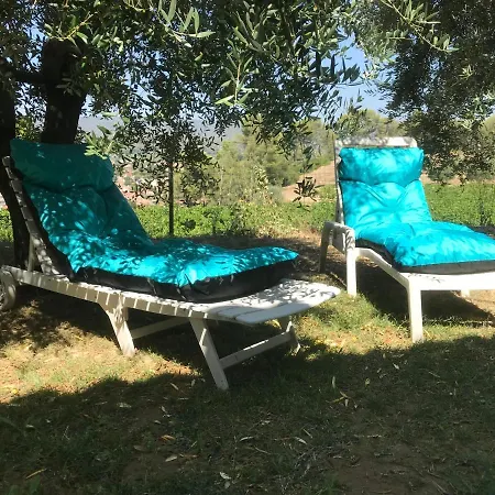 Проживание в семье Du Moulin Сен-Сир-сюр-Мер