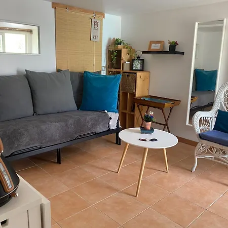 Проживание в семье Du Moulin *